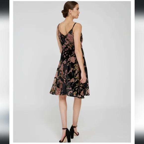 NWT Dex XS Velvet Burnout Dress, wrap style, midi length, with floral design - Picture 5 of 14